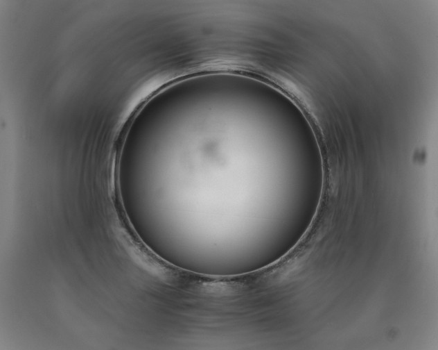 X0000090921227200707301526