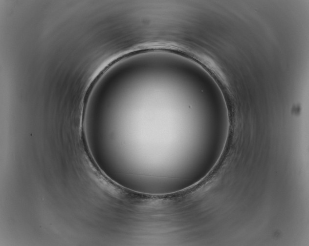 X0000090921228200707301526