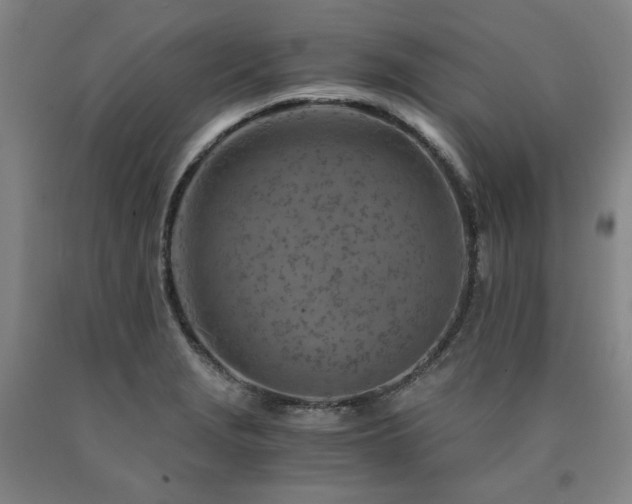 X0000090921229200707301526