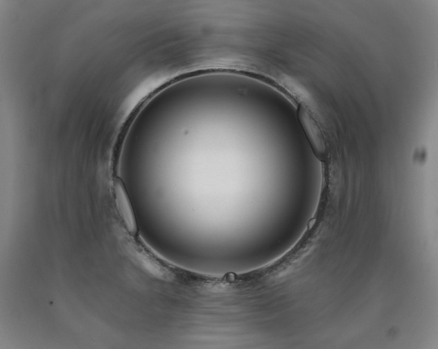 X0000090921230200707301526