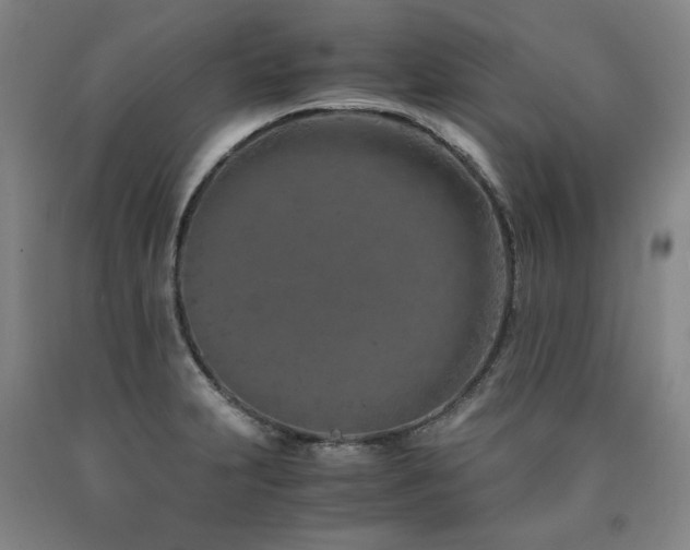 X0000090921231200707301526