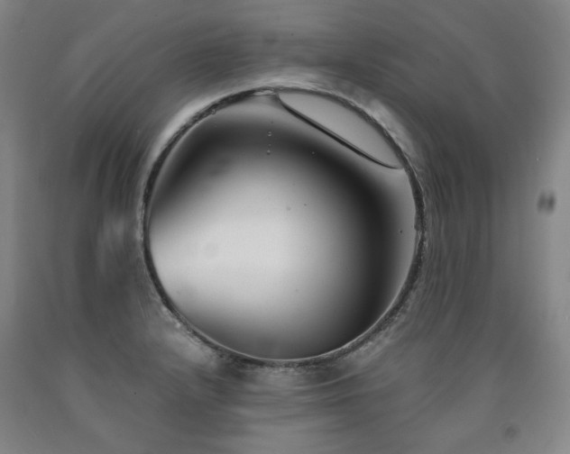 X0000090921232200707301526