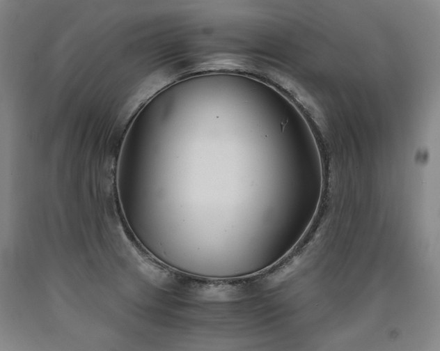 X0000090921233200707301526