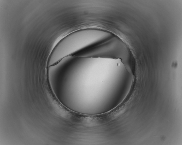 X0000090921234200707301526