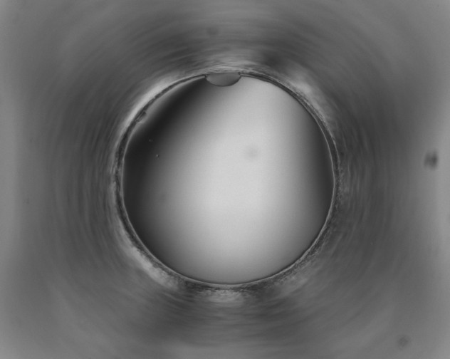 X0000090921235200707301526