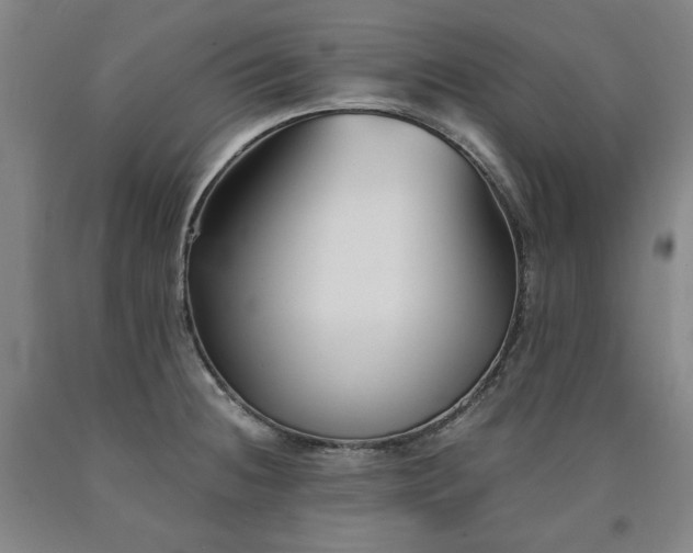 X0000090921236200707301526