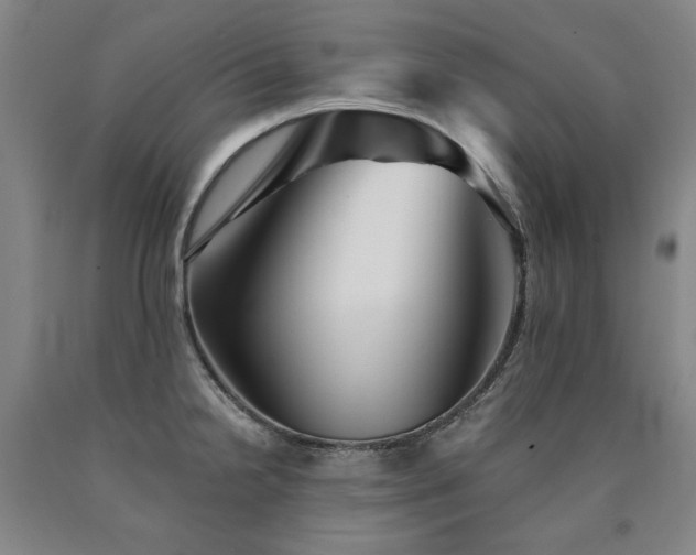 X0000090921238200707301526