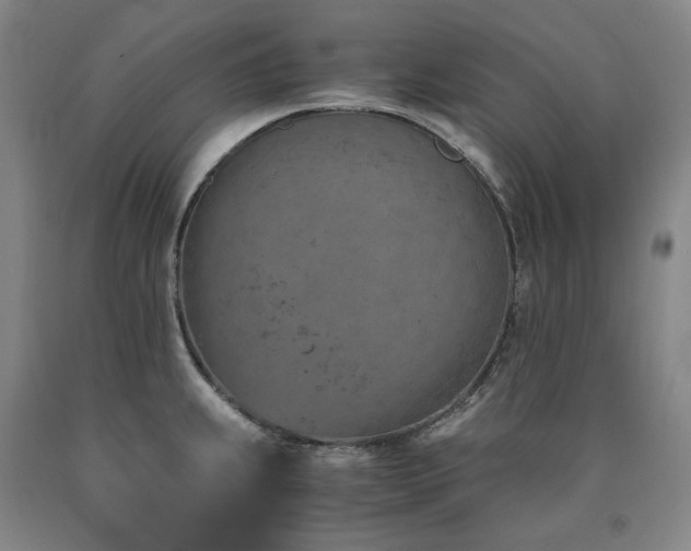 X0000090921239200707301526