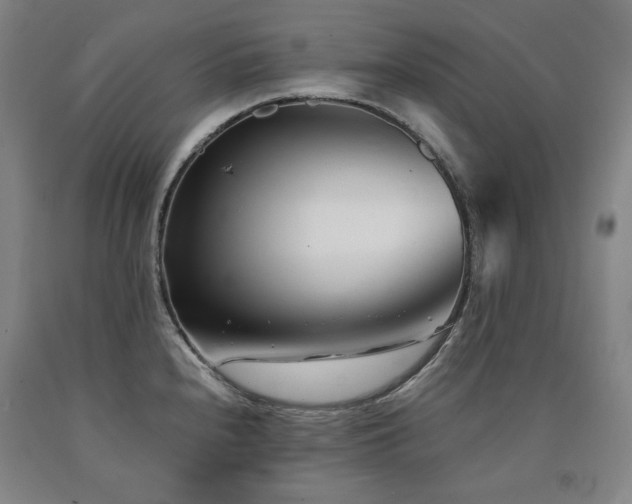 X0000090921240200707301526