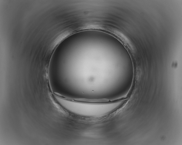 X0000090921241200707301526