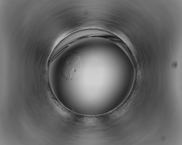 X0000090921242200707301526