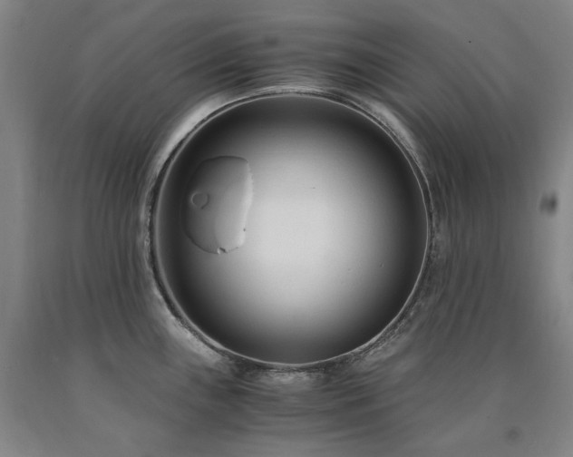 X0000090921243200707301526