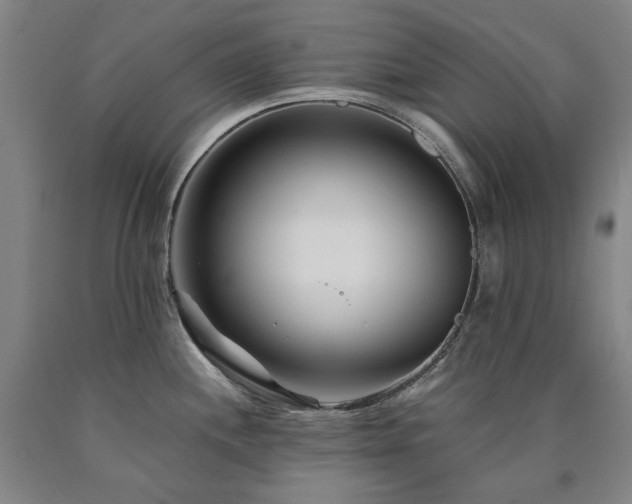 X0000090921244200707301526