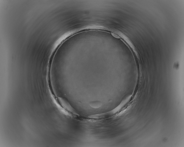 X0000090921245200707301526