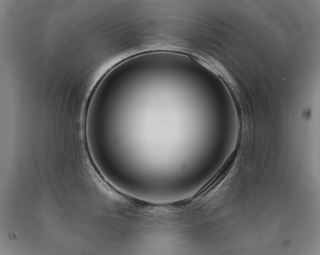 X0000090921246200707301526