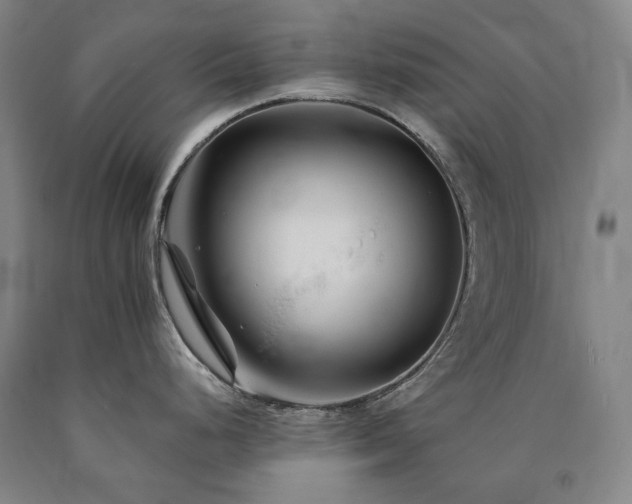 X0000090921248200707301526