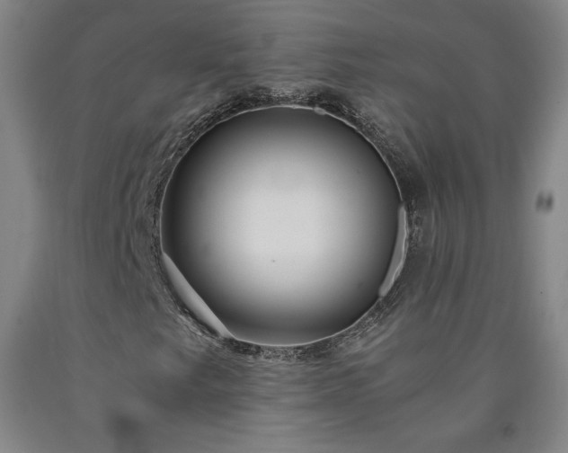 X0000090921249200707301526