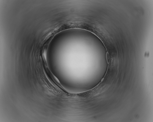 X0000090921250200707301526