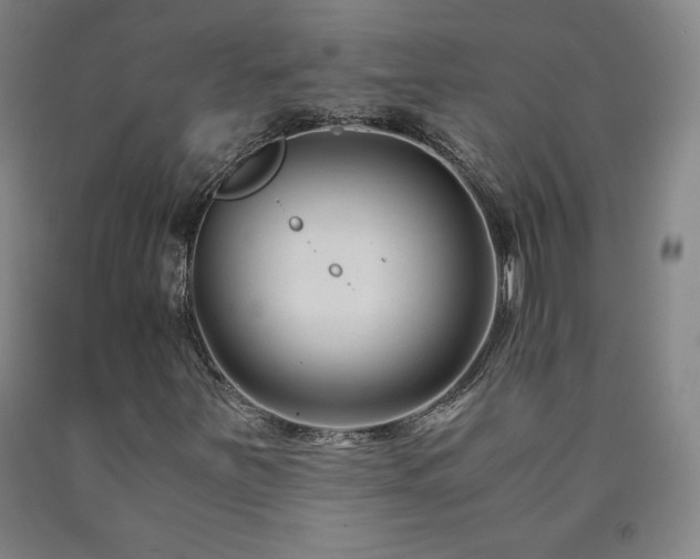 X0000090921251200707301526