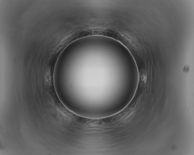 X0000090921252200707301526