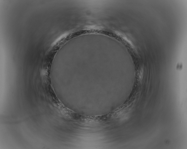 X0000090921254200707301526