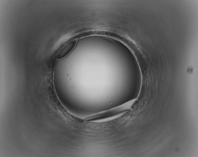 X0000090921255200707301526