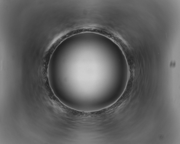 X0000090921256200707301526