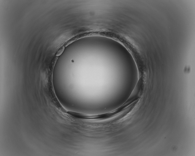 X0000090921257200707301526