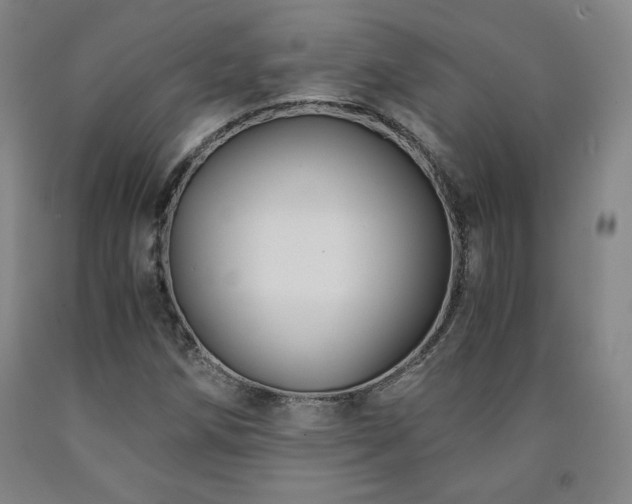 X0000090921258200707301526