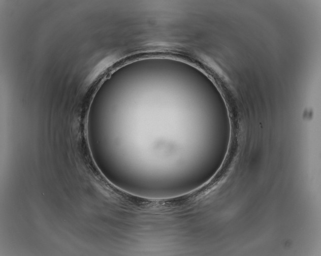 X0000090921259200707301526