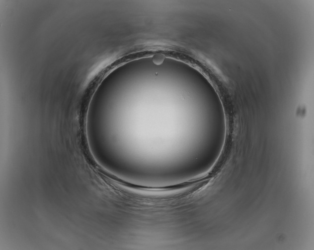 X0000090921261200707301526