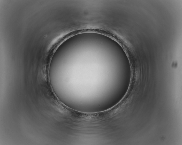X0000090921262200707301526