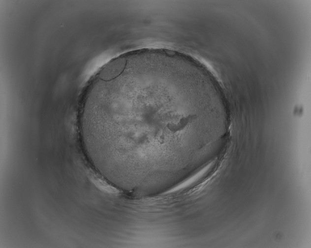 X0000090921263200707301525