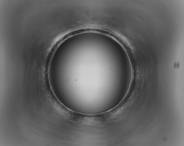 X0000090921264200707301525