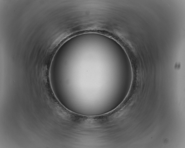 X0000090921265200707301525
