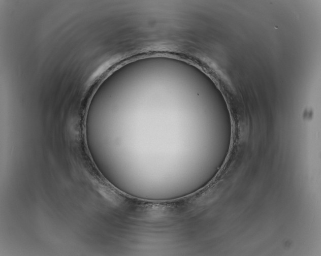 X0000090921266200707301525
