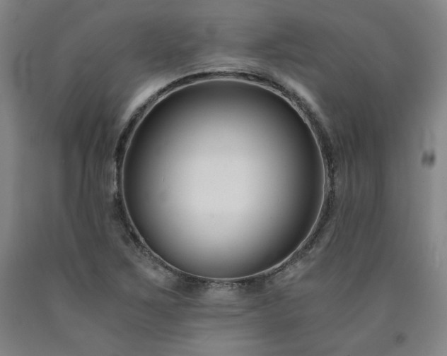 X0000090921267200707301525