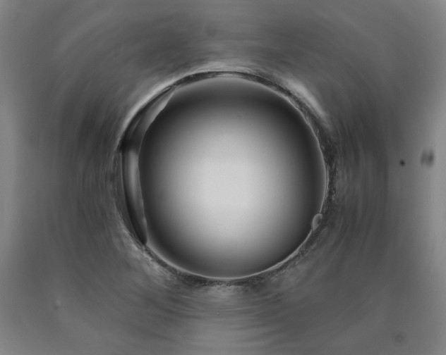 X0000090921268200707301525