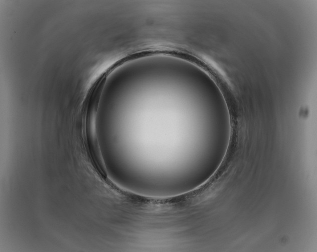 X0000090921269200707301525