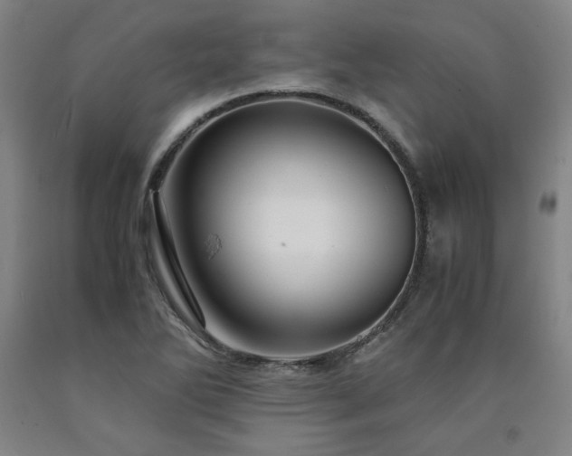 X0000090921270200707301525