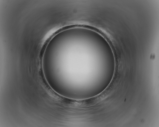 X0000090921271200707301525