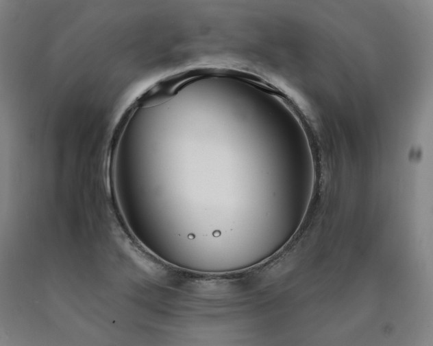X0000090921272200707301525