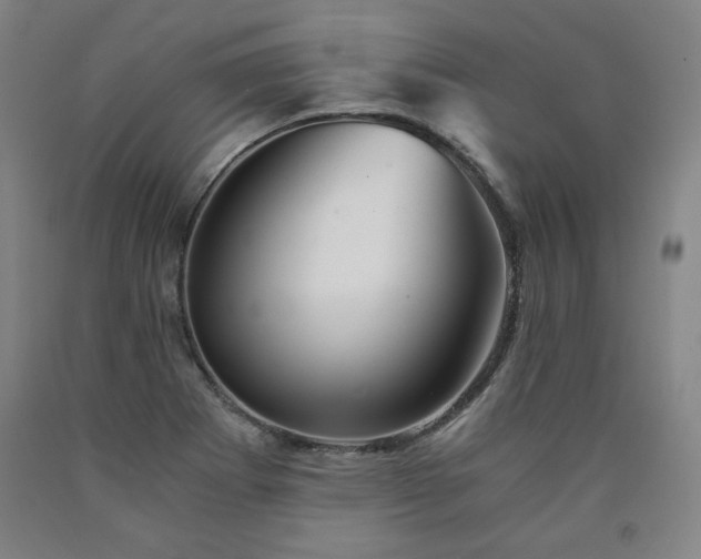 X0000090921273200707301525