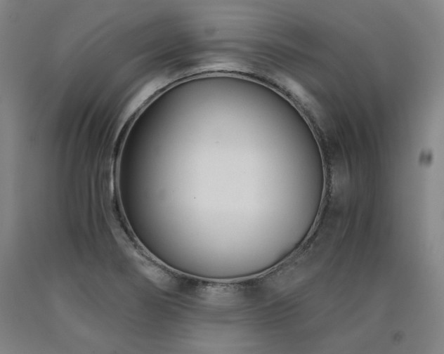 X0000090921274200707301525