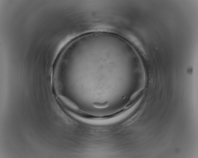 X0000090921275200707301525