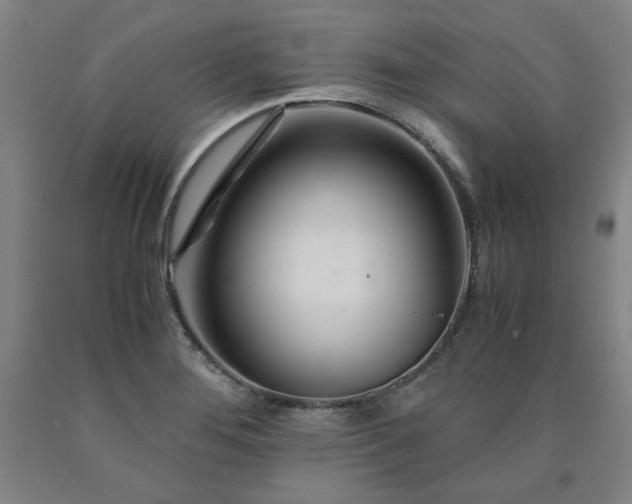 X0000090921276200707301525