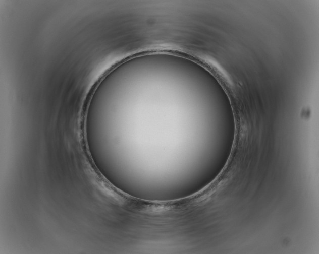 X0000090921278200707301525