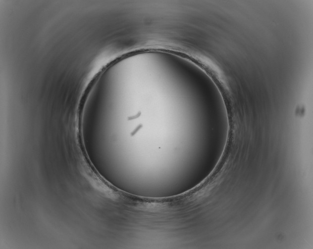 X0000090921280200707301525