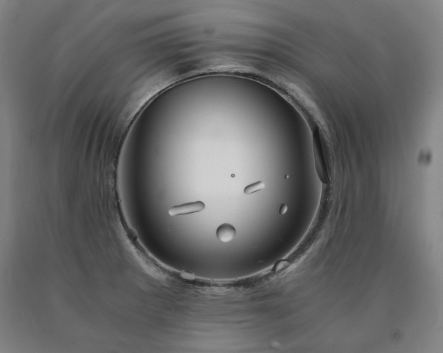 X0000090921281200707301525