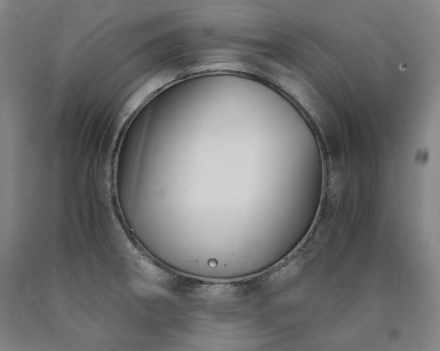 X0000090921282200707301525